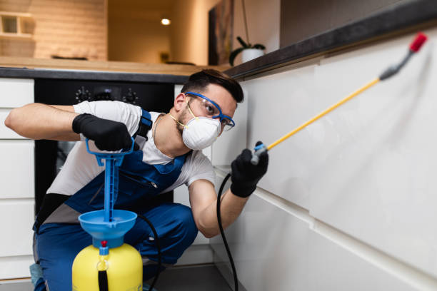 Trusted Smithville, MO Pest Control Experts