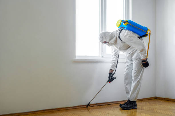 Best Best Pest Control Companies  in Smithville, MO