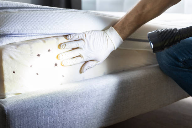 Best Best Pest Control Companies  in Smithville, MO